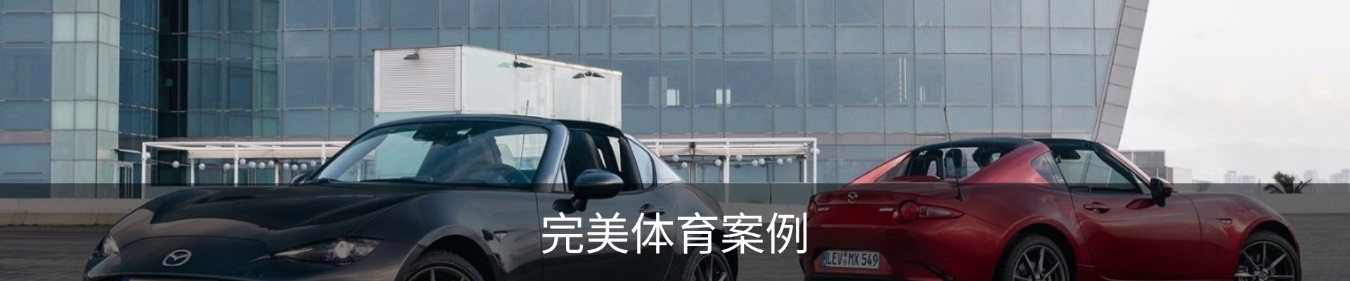 完美体育案例